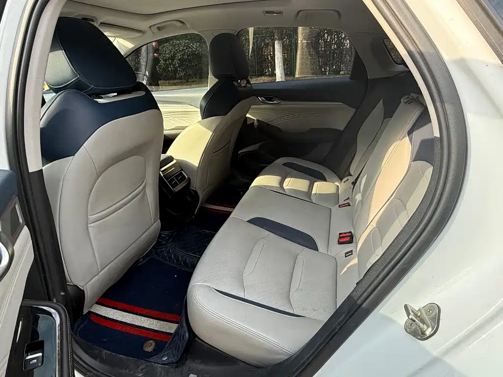 Geely Auto Geely Starray 2021 2.0TD Premium 2021 - thumbnail 6