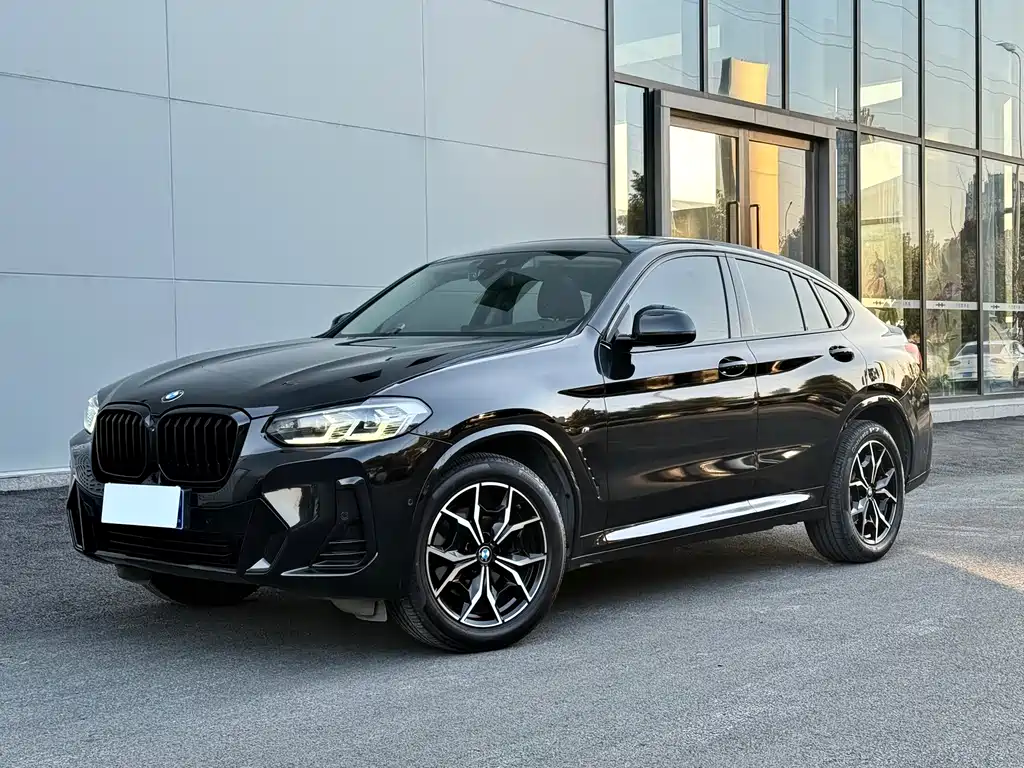 BMW BMW X4 2022 xDrive 25i M Sport Package 2022
