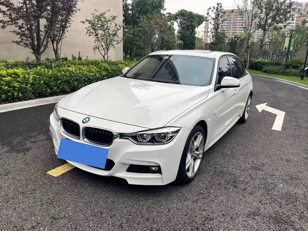 BMW BMW 3 Series 2018 320Li M Sport Package 2018