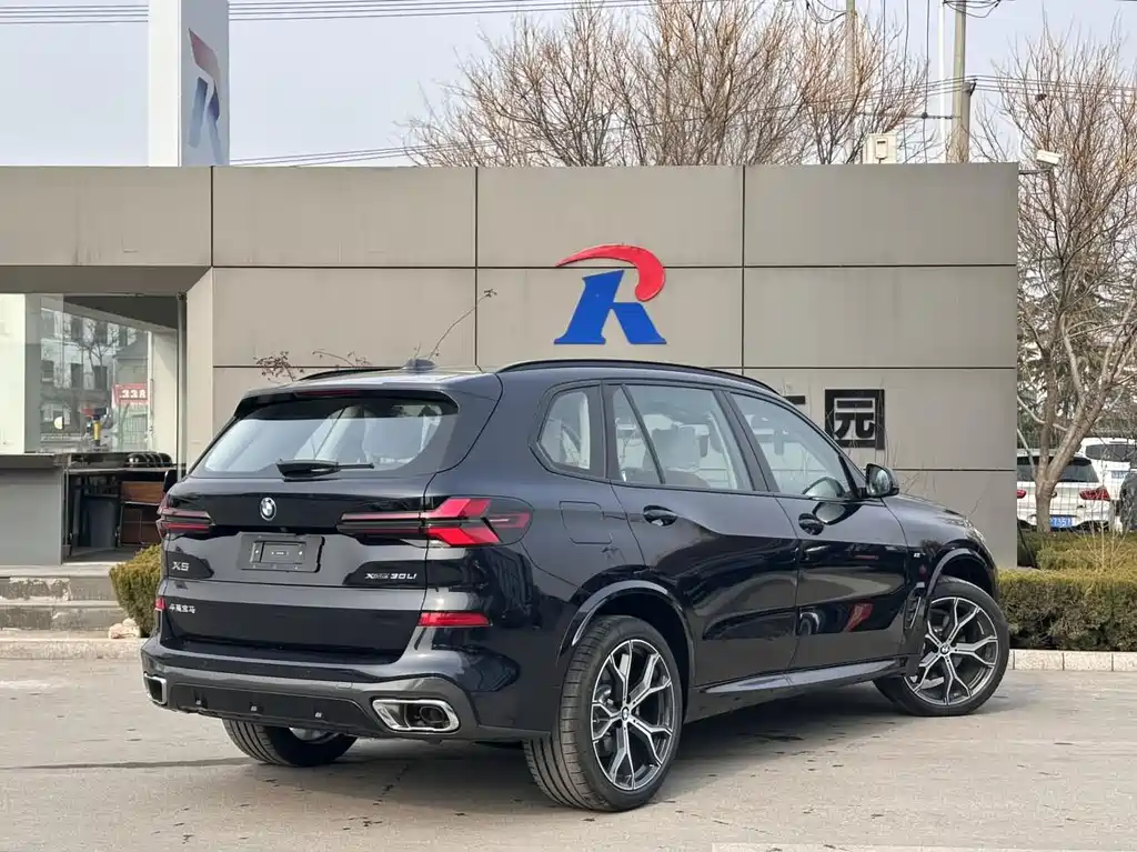 BMW BMW X5 2025 xDrive 30Li M Sport Shadow Night Package 2026 - thumbnail 9