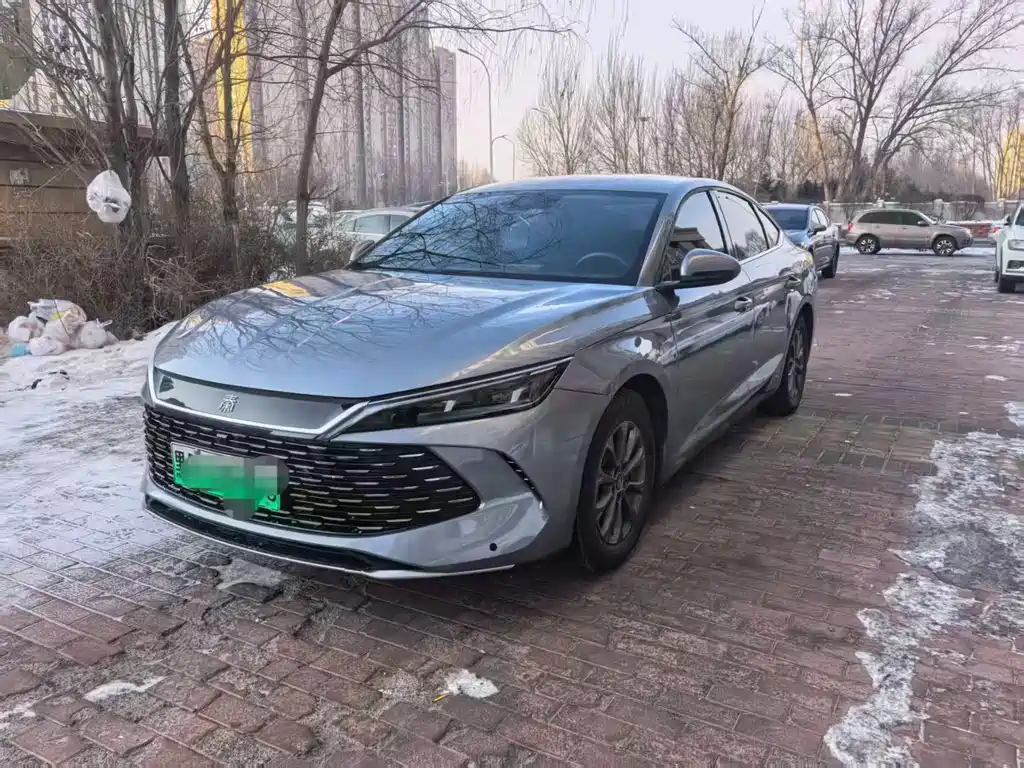 BYD BYD Qin L 2024 DM-i 80KM Leading Edition 2024