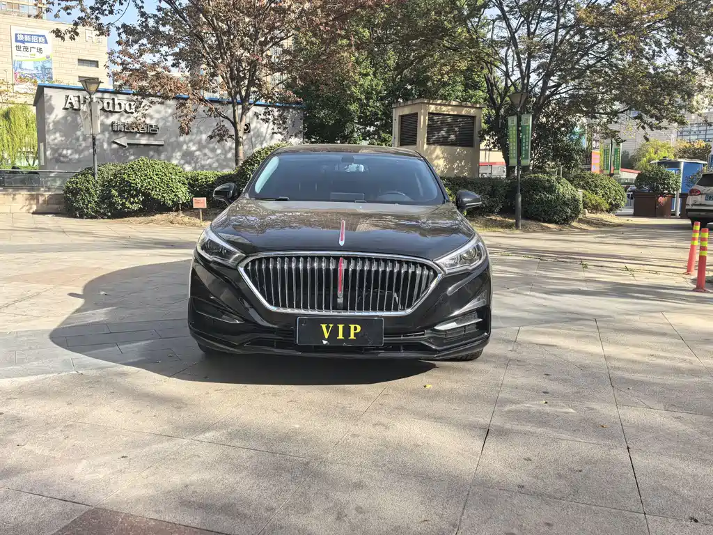Hongqi Hongqi H5 2019 30TD Sport Edition 2019 - thumbnail 2