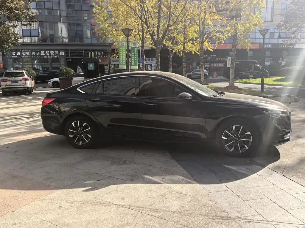 Hongqi Hongqi H5 2019 30TD Sport Edition 2019 - thumbnail 4