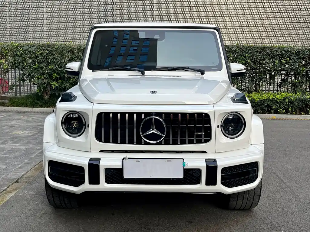 Mercedes-Benz Mercedes-Benz G-Class 2020 G 350 2021 - thumbnail 3