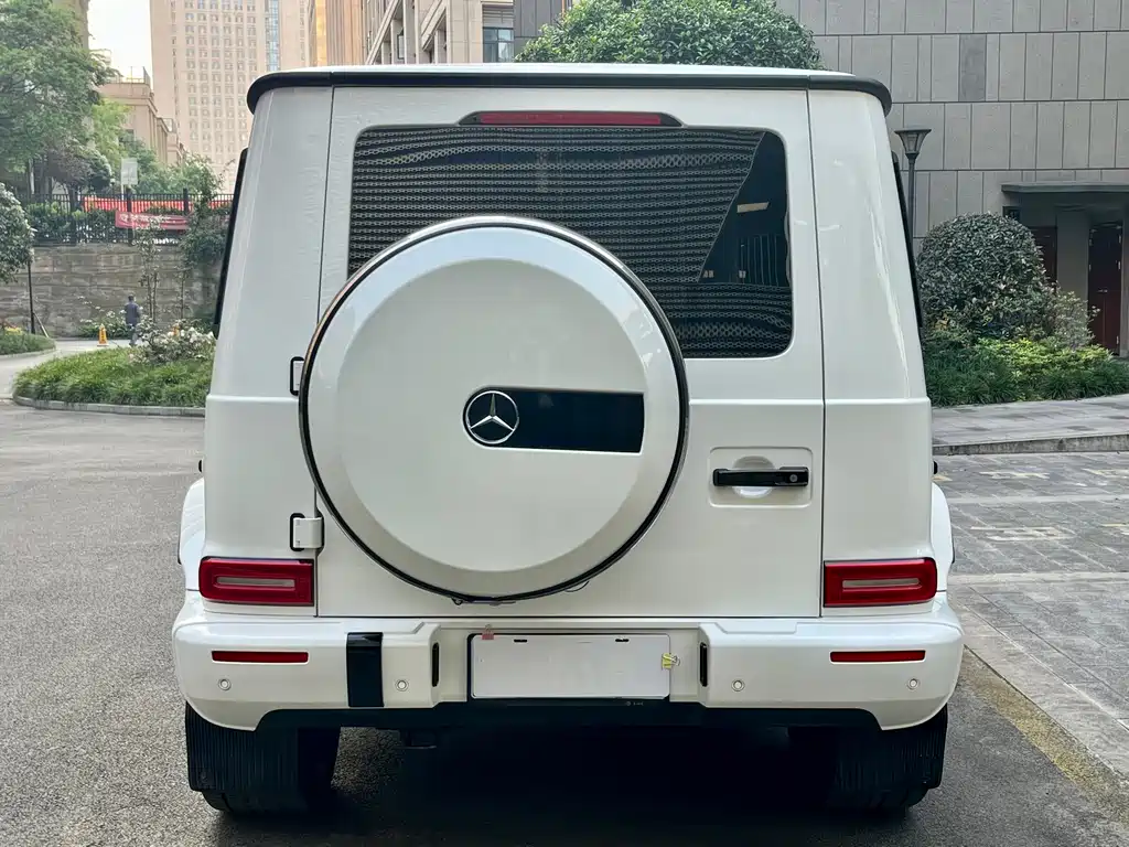Mercedes-Benz Mercedes-Benz G-Class 2020 G 350 2021 - thumbnail 8