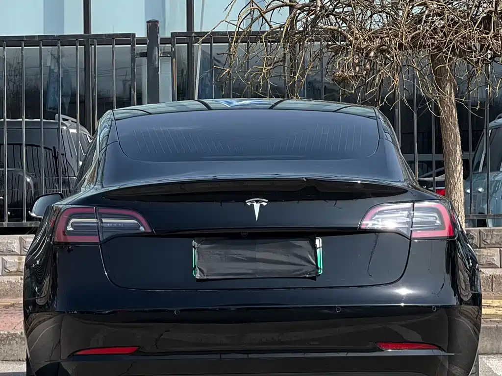 Tesla Model 3 (Imported) 2019 Long Range Rear-Wheel Drive Version 2019 - thumbnail 5