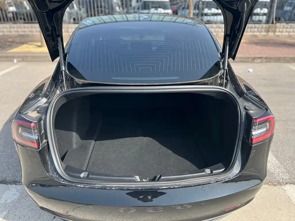 Tesla Model 3 (Imported) 2019 Long Range Rear-Wheel Drive Version 2019 - thumbnail 14