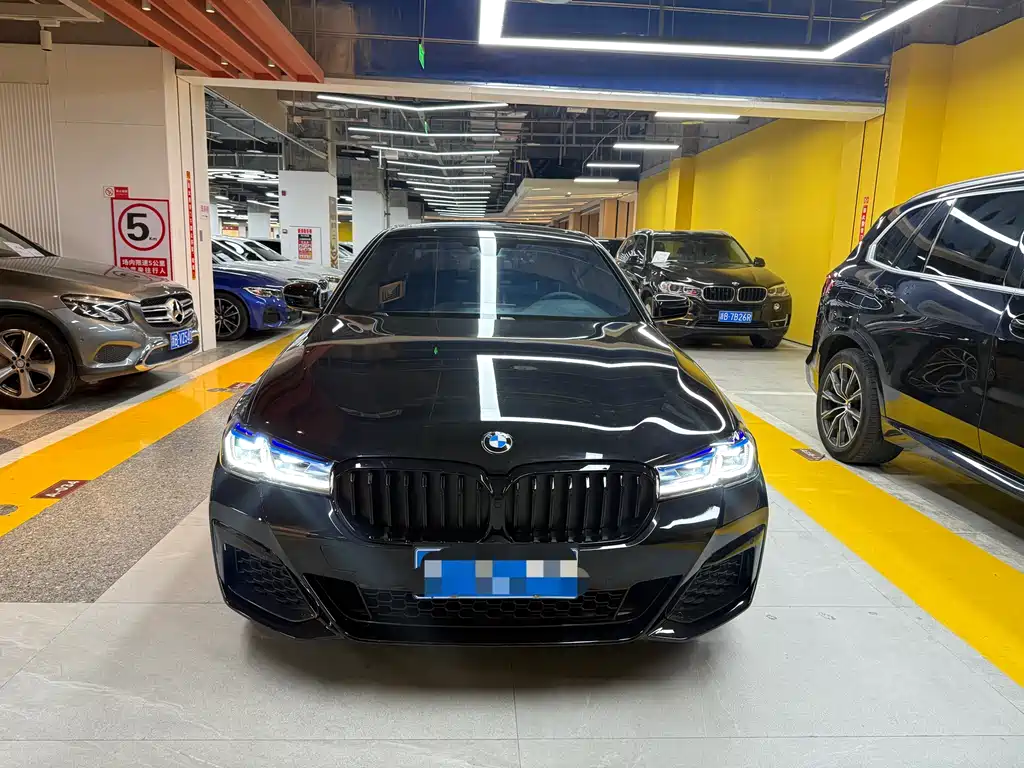 BMW BMW 5 Series 2020 530Li Leading Model M Sport Package 2020 - thumbnail 2
