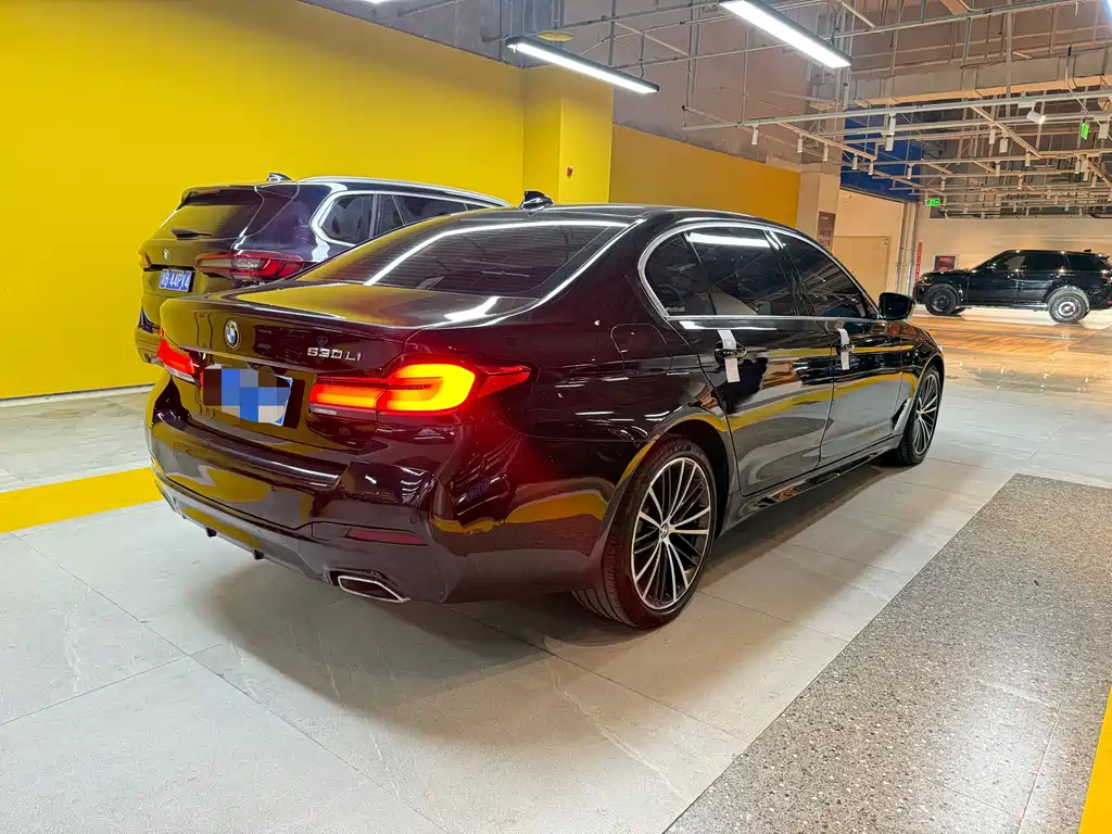 BMW BMW 5 Series 2020 530Li Leading Model M Sport Package 2020 - thumbnail 12