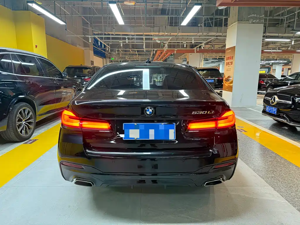 BMW BMW 5 Series 2020 530Li Leading Model M Sport Package 2020 - thumbnail 13