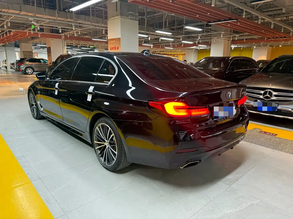 BMW BMW 5 Series 2020 530Li Leading Model M Sport Package 2020 - thumbnail 14
