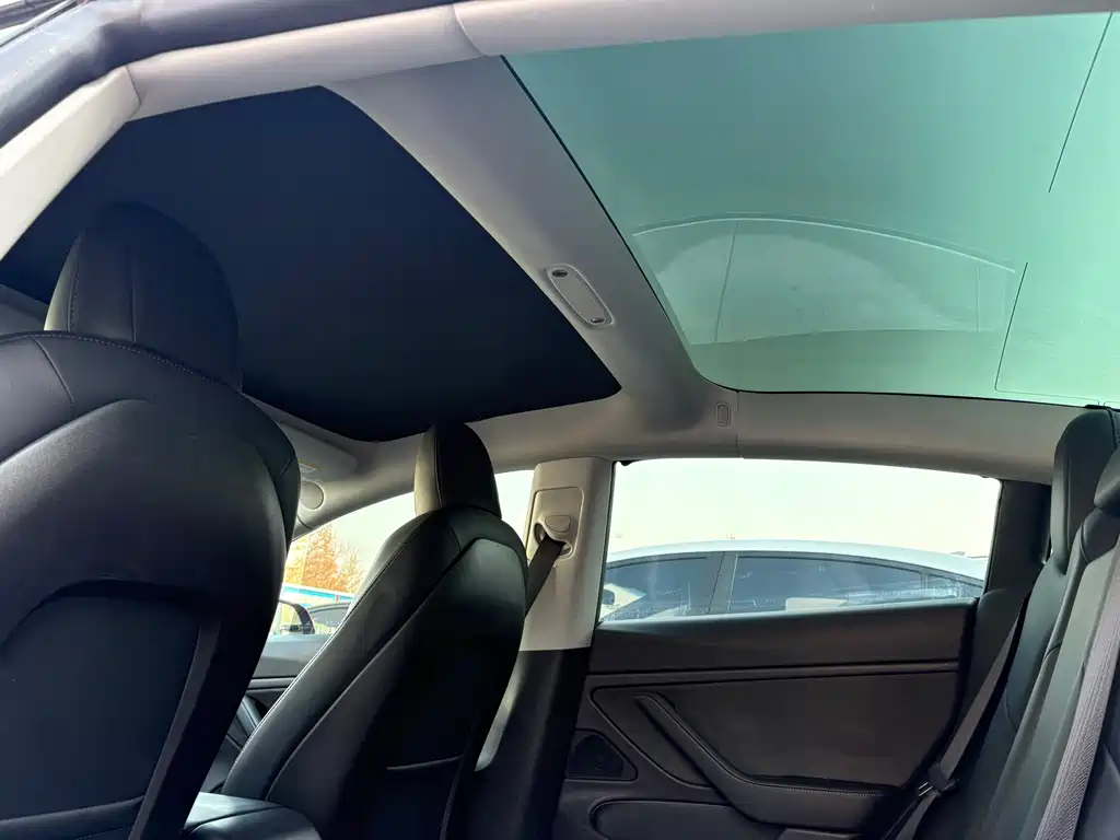 Tesla Model 3 Long Range Rear-Wheel Drive 2019 Imported Version 2019 - thumbnail 10