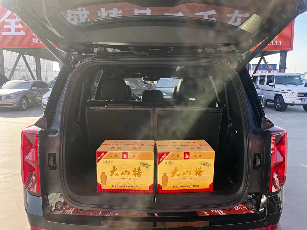 GAC Trumpchi GAC Trumpchi GS8 2022 Lexion Series 2.0TGDI FWD Luxury Intelligent Connectivity Version (7-seater) 2022 - thumbnail 12