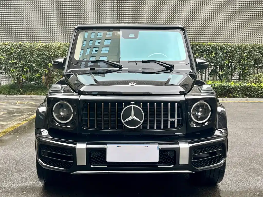 Mercedes-Benz Mercedes-Benz G-Class 2020 G 500 Time Capsule Special Edition 2020 - thumbnail 3