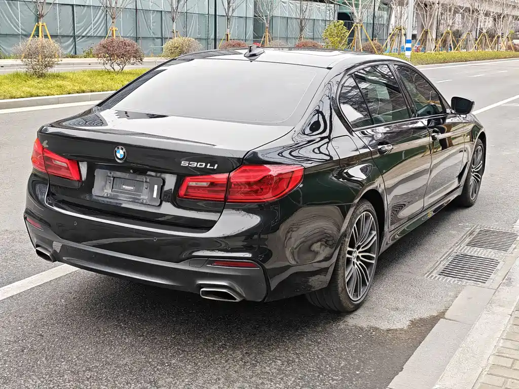 BMW BMW 5 Series 2018 Facelift 530Li Leading Model M Sport Package 2018 - thumbnail 9
