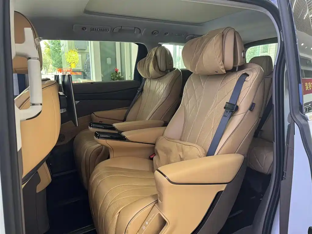 Denza DENZA D9 2022 DM-i 970 AWD Premium Edition 2023 - thumbnail 20