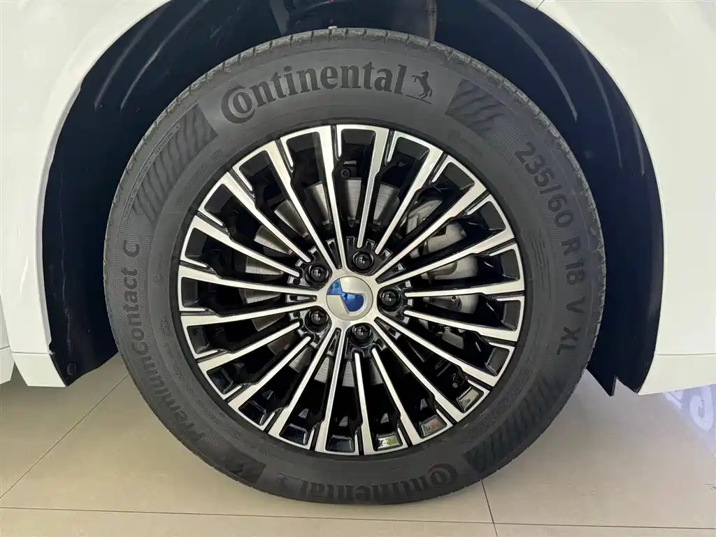Denza DENZA D9 2022 DM-i 970 AWD Premium Edition 2023 - thumbnail 25