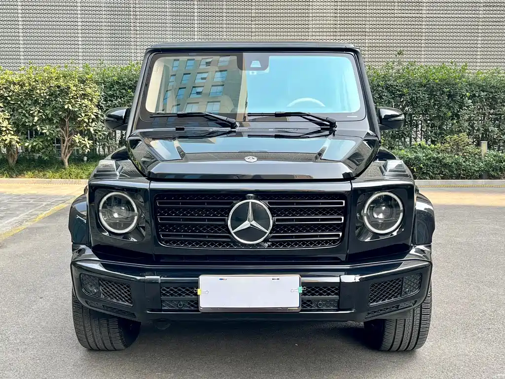 Mercedes-Benz Mercedes-Benz G-Class 2020 G 500 Timeless Special Edition 2020 - thumbnail 2