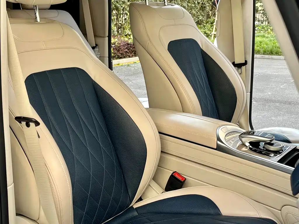 Mercedes-Benz Mercedes-Benz G-Class 2020 G 500 Timeless Special Edition 2020 - thumbnail 9