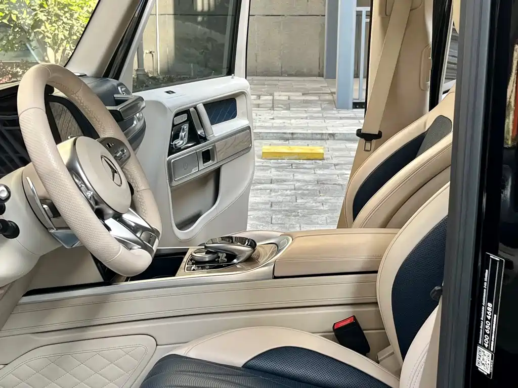 Mercedes-Benz Mercedes-Benz G-Class 2020 G 500 Timeless Special Edition 2020 - thumbnail 15
