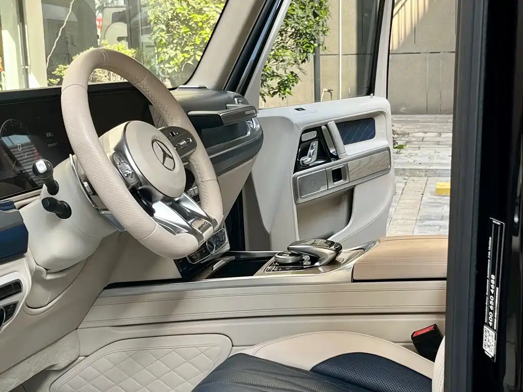 Mercedes-Benz Mercedes-Benz G-Class 2020 G 500 Timeless Special Edition 2020 - thumbnail 16