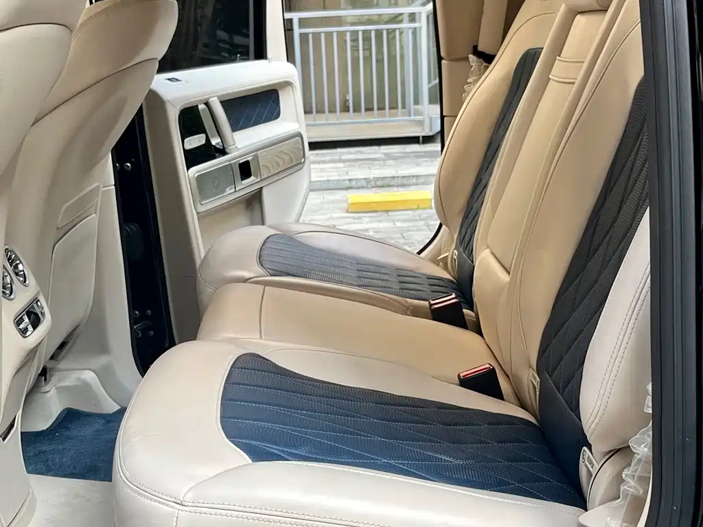 Mercedes-Benz Mercedes-Benz G-Class 2020 G 500 Timeless Special Edition 2020 - thumbnail 18