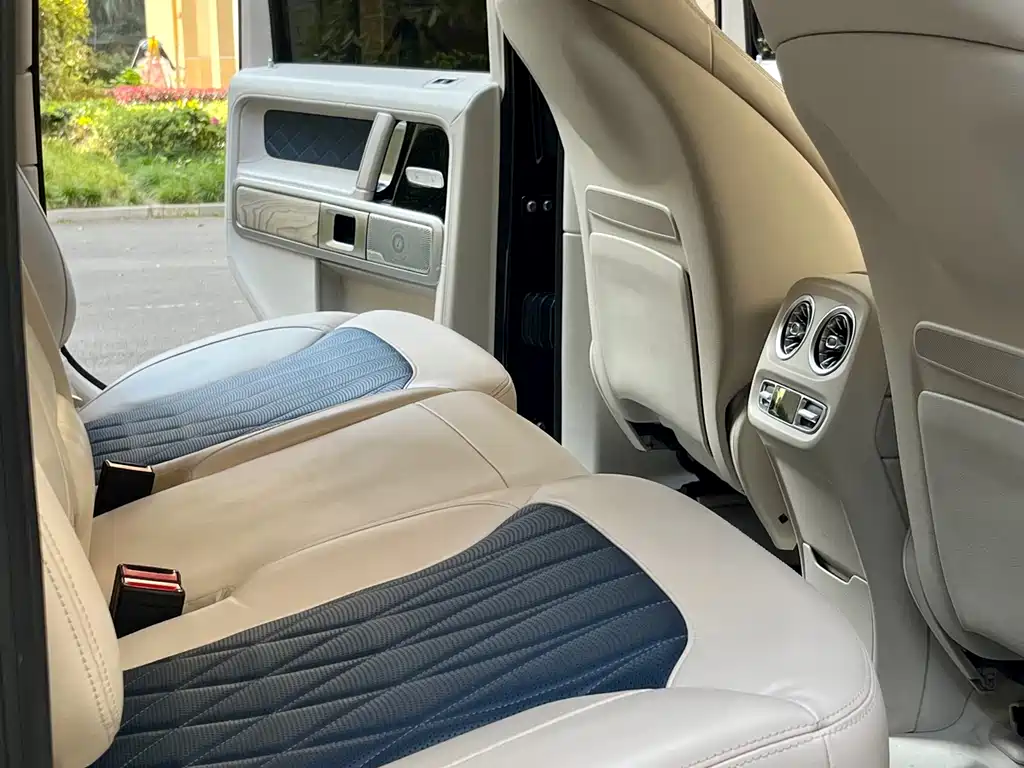 Mercedes-Benz Mercedes-Benz G-Class 2020 G 500 Timeless Special Edition 2020 - thumbnail 19