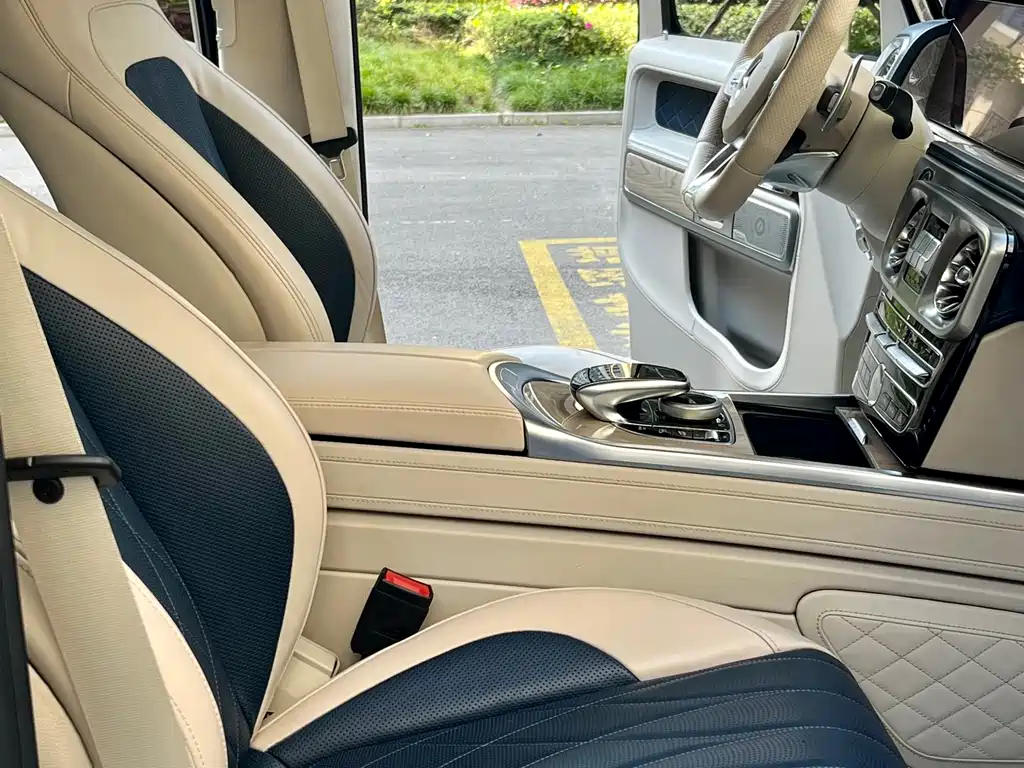 Mercedes-Benz Mercedes-Benz G-Class 2020 G 500 Timeless Special Edition 2020 - thumbnail 20