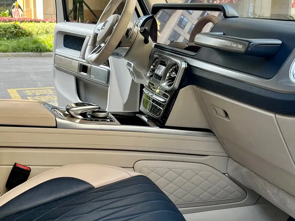 Mercedes-Benz Mercedes-Benz G-Class 2020 G 500 Timeless Special Edition 2020 - thumbnail 21