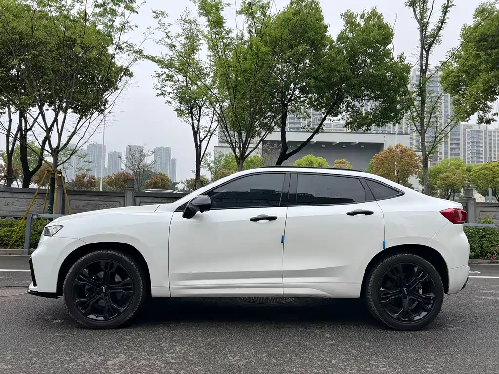 Wey WEY VV7 GT 2020 2.0T Flagship 2020 - thumbnail 8