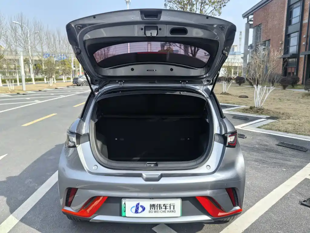 BYD Dolphin 2021 Model 405km Fashion Edition 2023 - thumbnail 7