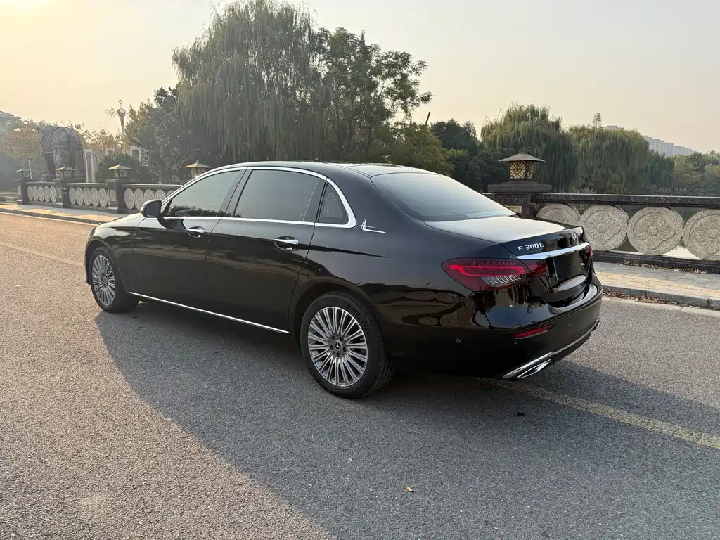 Mercedes-Benz Mercedes-Benz E-Class 2022 E 300 L Luxury 2022 - thumbnail 8