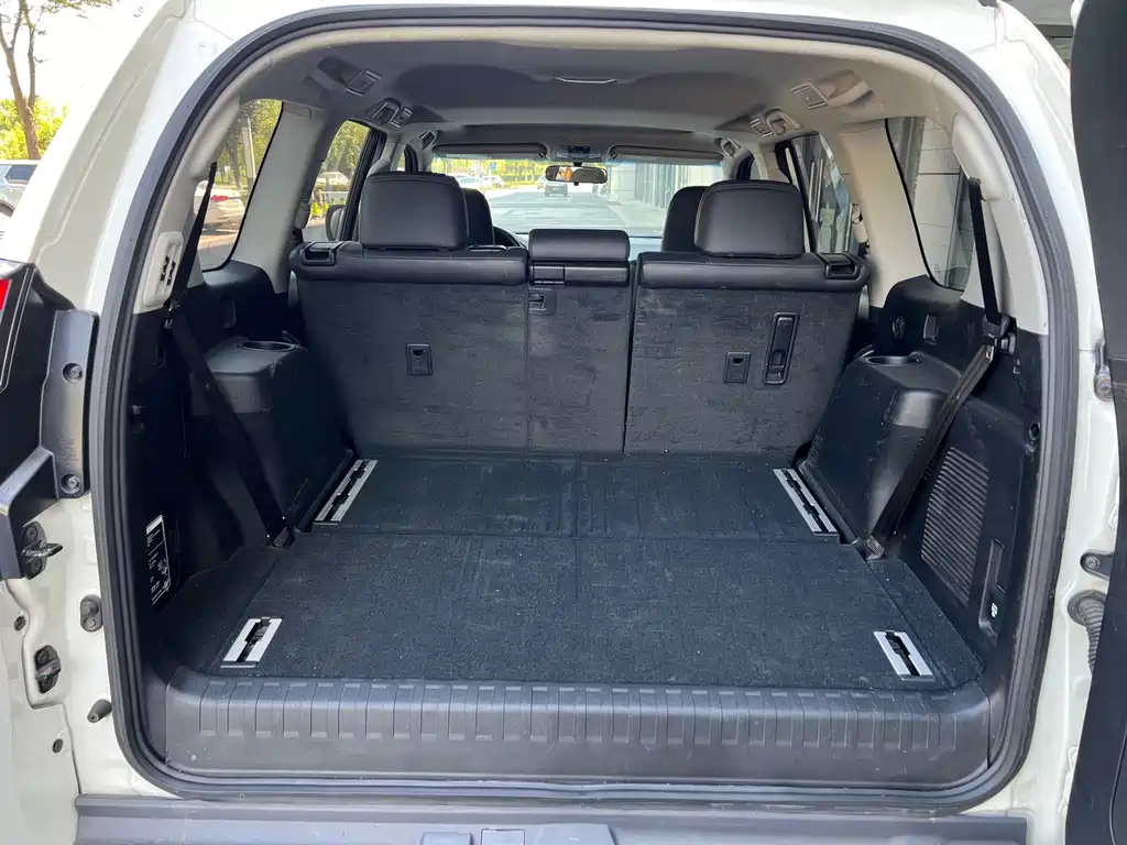 Toyota Toyota Prado 2018 3.5L Automatic TX-L Rear-Mounted Spare Tire 2019 - thumbnail 11