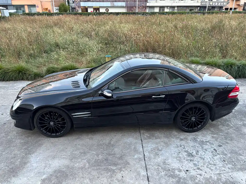 Mercedes-Benz Mercedes-Benz SL-Class 2008 SL 350 2008 - thumbnail 2