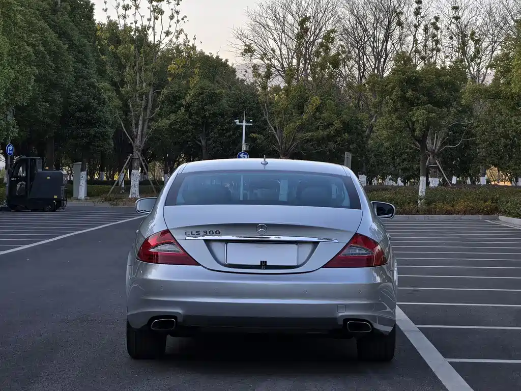 Mercedes-Benz Mercedes-Benz CLS 2009 CLS 300 2011 - thumbnail 5
