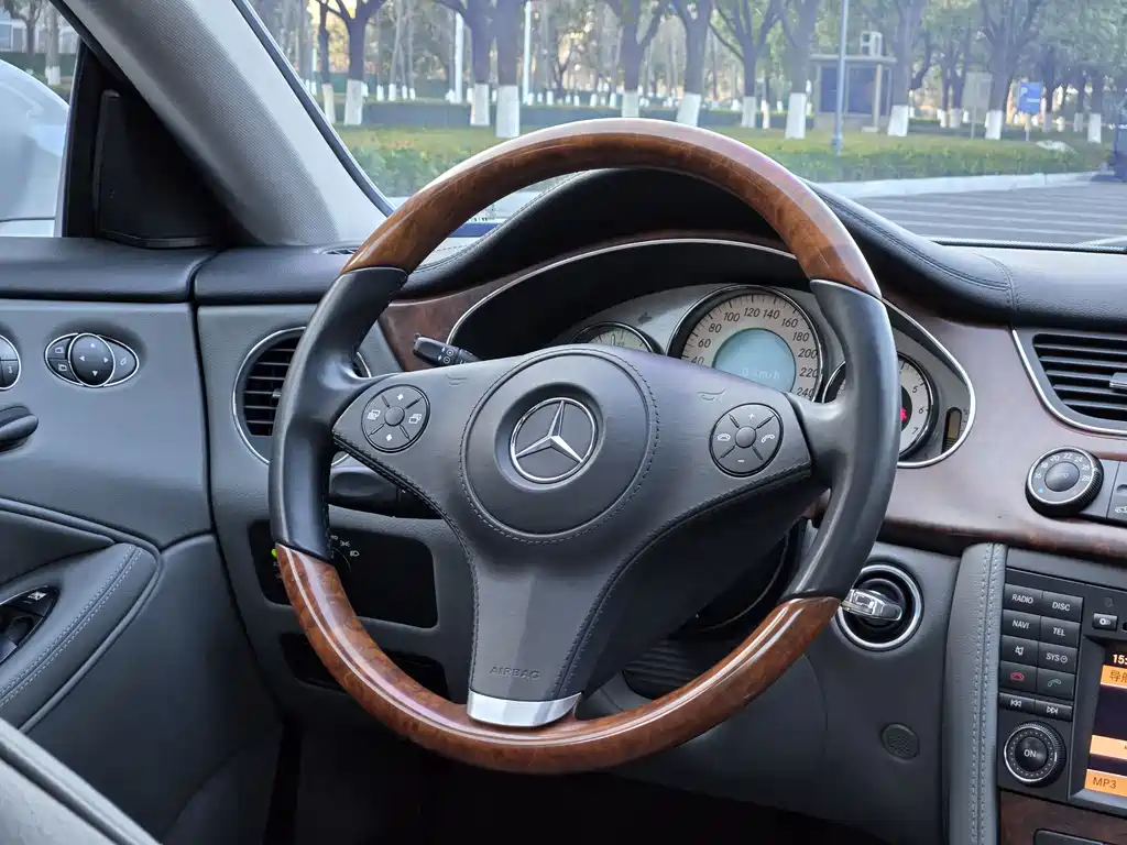 Mercedes-Benz Mercedes-Benz CLS 2009 CLS 300 2011 - thumbnail 10