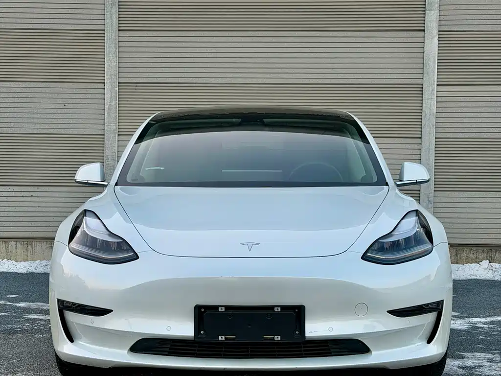 Tesla Model 3 Long Range All-Wheel Drive 2019 Import 2020 - thumbnail 2