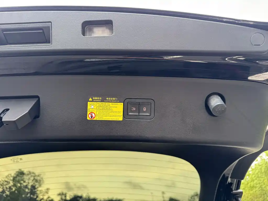 BYD BYD Song L EV 2024 662km Premium Model 2024 - thumbnail 12