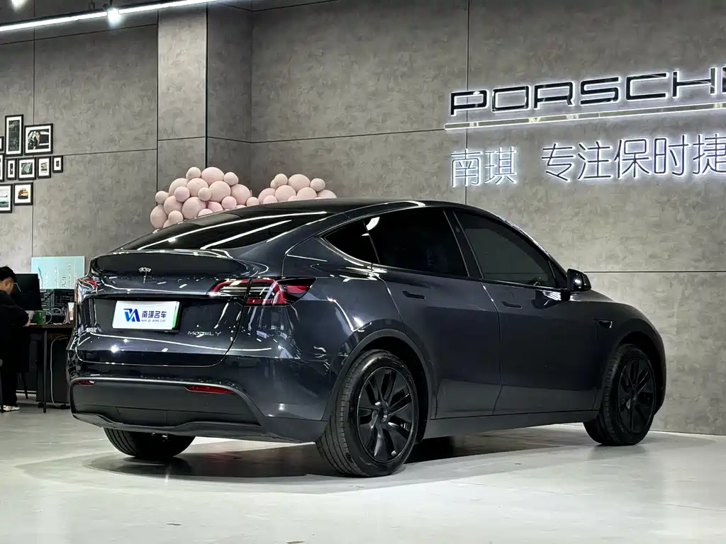 Tesla Model Y 2024 Rear-Wheel Drive 2024 - thumbnail 6