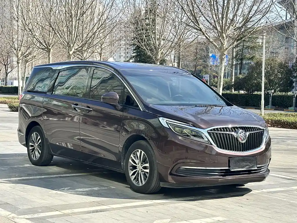 Buick Buick GL8 2017 ES 28T Luxury Edition China V 2019 - thumbnail 3