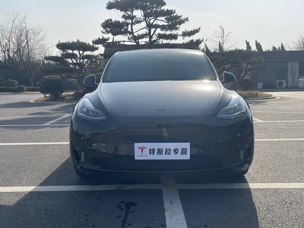 Tesla Model Y 2022 Rear-Wheel Drive 2022 - thumbnail 2