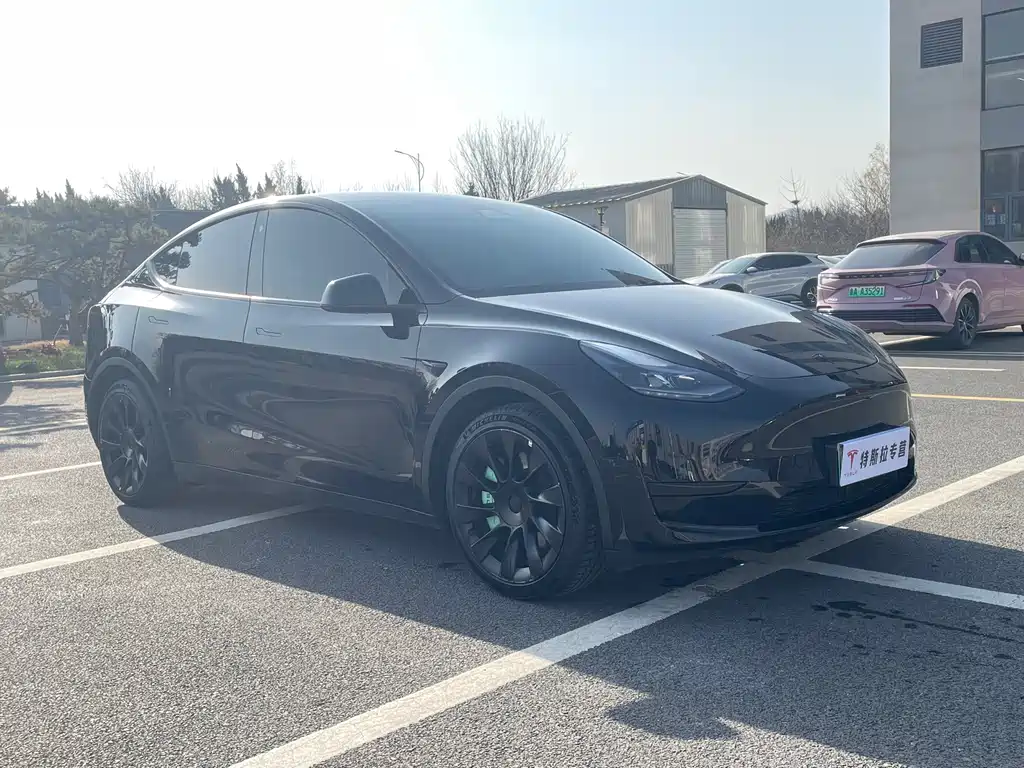 Tesla Model Y 2022 Rear-Wheel Drive 2022 - thumbnail 3