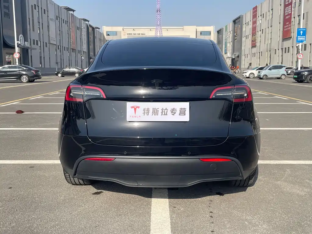 Tesla Model Y 2022 Rear-Wheel Drive 2022 - thumbnail 8