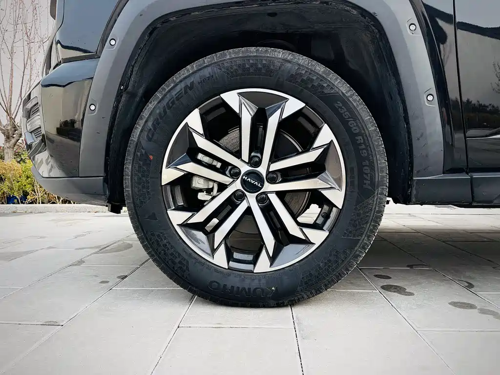 Haval Haval Big Dog PLUS 2023 1.5T 2WD潮野版Plus  Note: The internationally accepted name would be "Haval Big Dog PLUS" as Haval is already an internationally recognized brand name, and "Big Dog" is the official international model name for this SUV. The rest of the specifications (2023, 1.5T, 2WD) remain the same in English. The "潮野版Plus" part doesn't have a direct international equivalent and would typically be described through trim level descriptions in English markets. 2023 - thumbnail 19