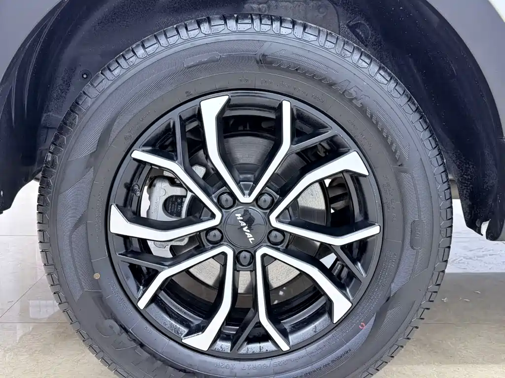Haval Haval H6 2023 Guochao Edition 1.5T Automatic Urban Version 2023 - thumbnail 23