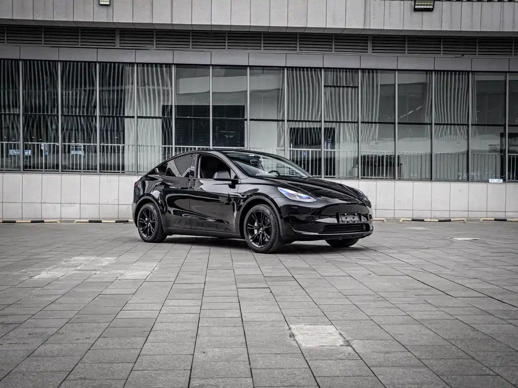 Tesla Model Y 2022 Rear-Wheel Drive 2023 - thumbnail 2