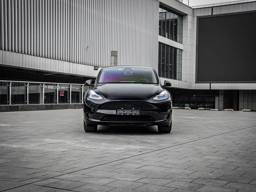 Tesla Model Y 2022 Rear-Wheel Drive 2023 - thumbnail 3