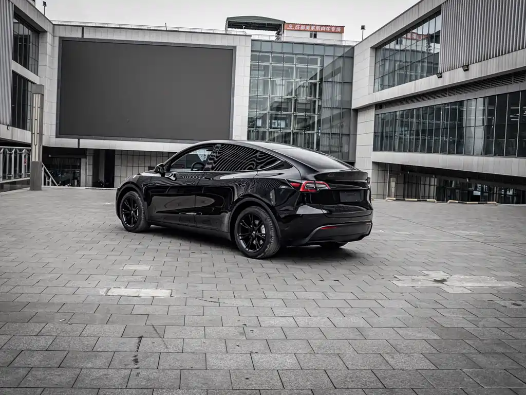 Tesla Model Y 2022 Rear-Wheel Drive 2023 - thumbnail 4