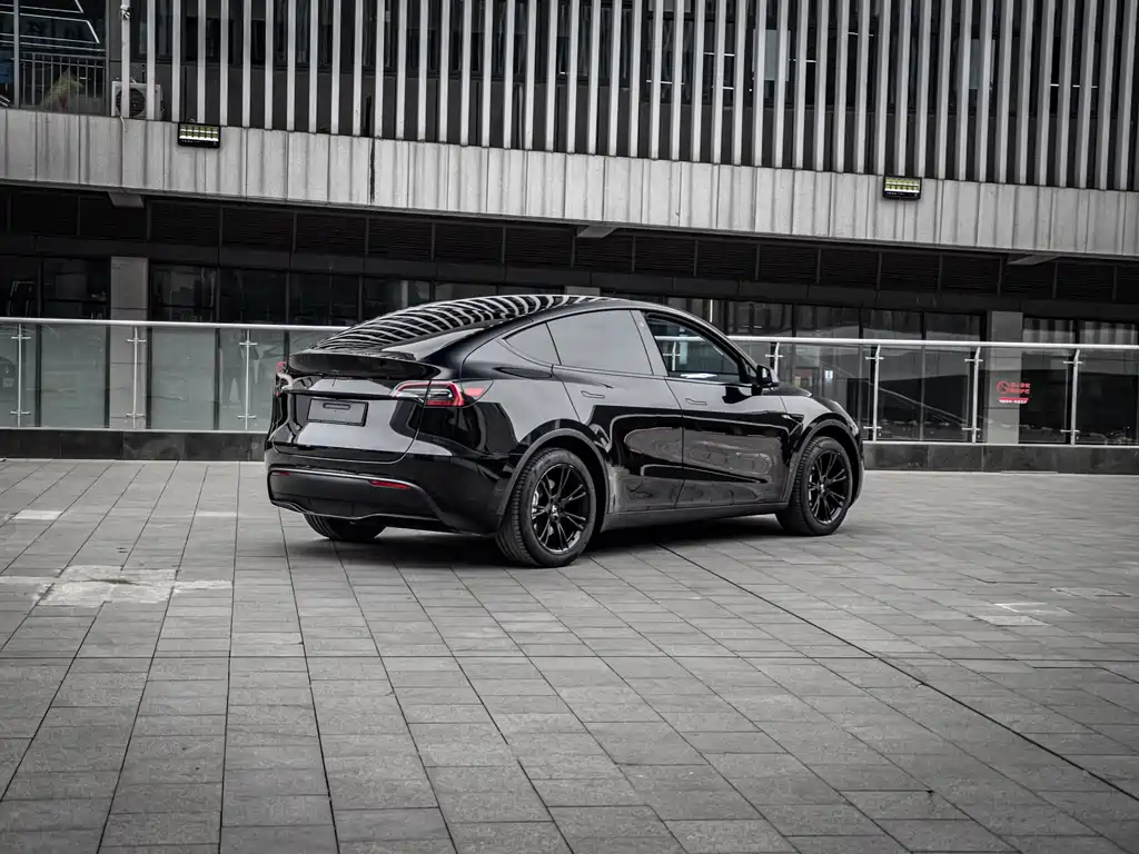 Tesla Model Y 2022 Rear-Wheel Drive 2023 - thumbnail 5