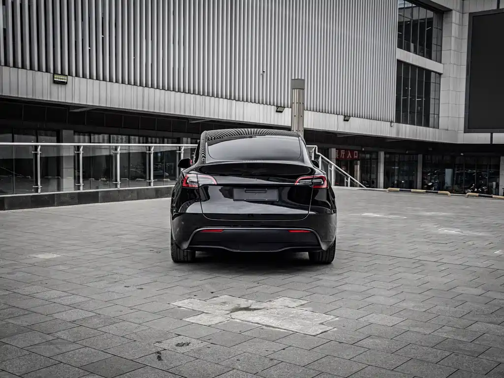 Tesla Model Y 2022 Rear-Wheel Drive 2023 - thumbnail 6
